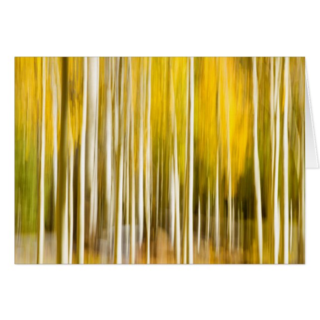 Trembles abstraits (Devant horizontal)