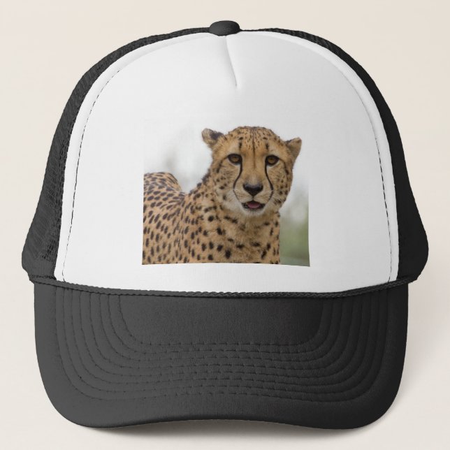Très mignon Casquette de la faune (Devant)