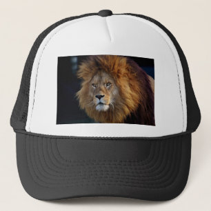 Très mignon Casquette Lion de la faune