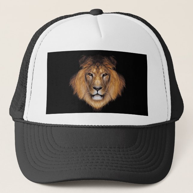 Très mignon Casquette Lion de la faune (Devant)