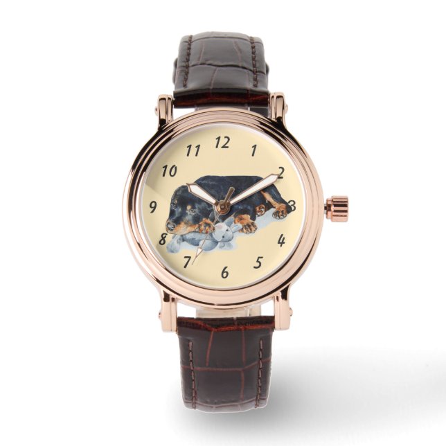 très mignon rottweiler chiot montre chien (Recto)