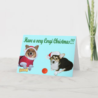 Très Noël M de corgi et carte de turquoise de G
