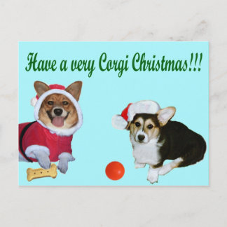 Très Noël M de corgi et carte postale de turquoise