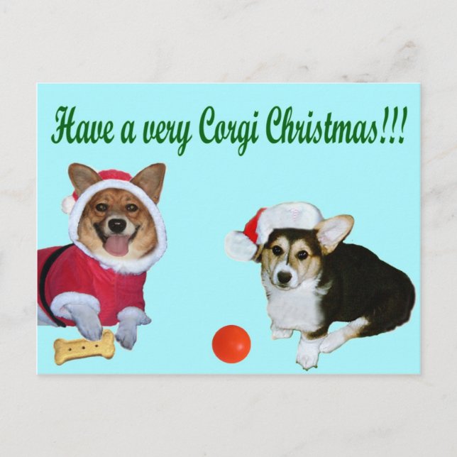 Très Noël M de corgi et carte postale de turquoise (Devant)