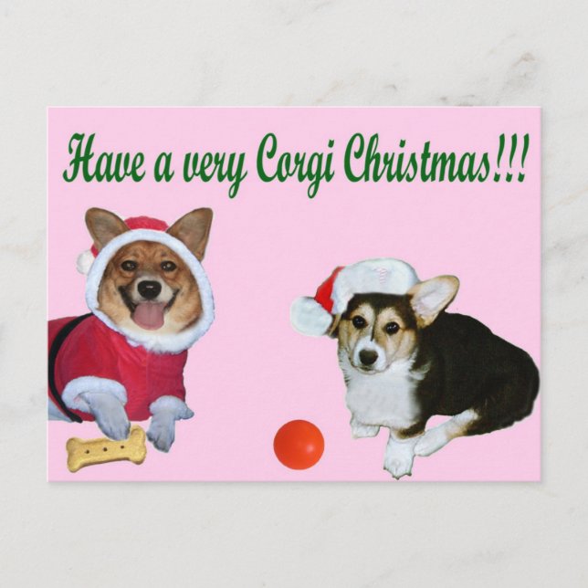 Très Noël M de corgi et carte postale rose de G (Devant)