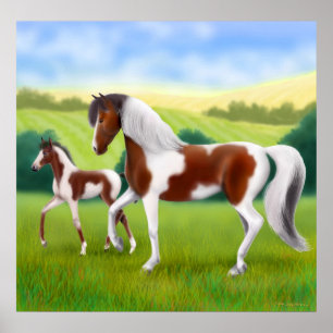 Tri Coloré Peinture Cheval et Poster du poulain