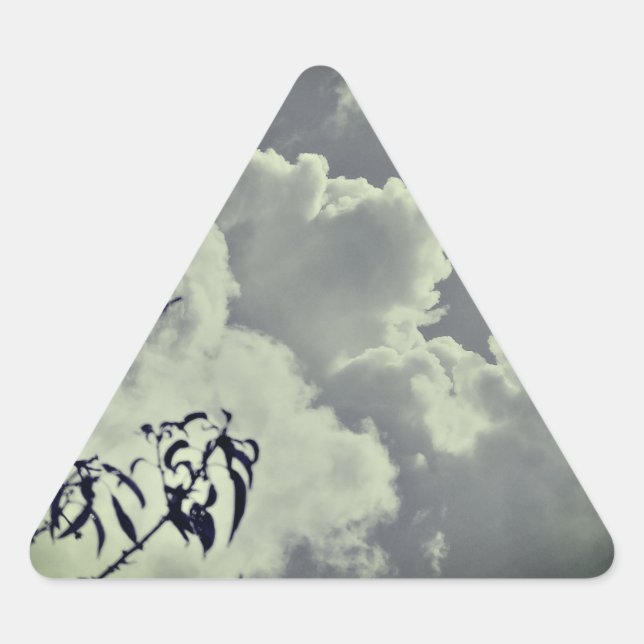 Triangulaire Sticker (Devant)