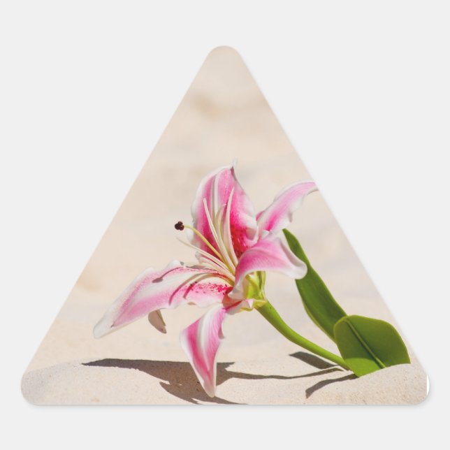 Triangulaire Sticker Lily Beach (Devant)