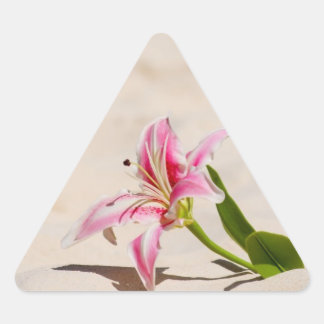 Triangulaire Sticker Lily Beach