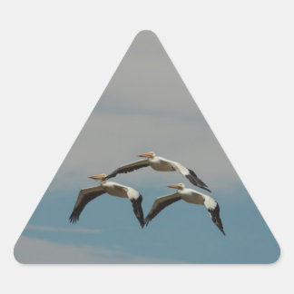 Triangulaire Sticker Pélican volant