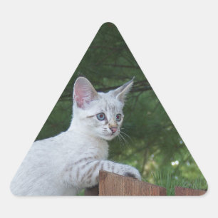 Triangulaire Sticker Triangle Chat Savannah Blanc