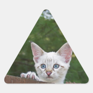 Triangulaire Sticker Triangle Chat Savannah Blanc