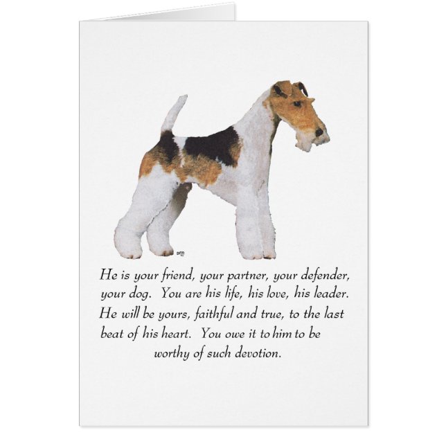 Tribute à la mémoire du Wire Fox Terrier MÂLE (Devant)
