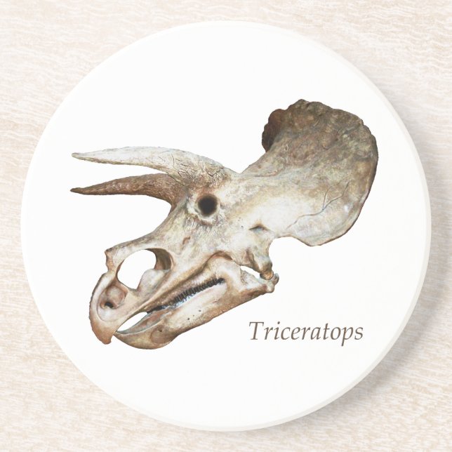 Tricératops Dessous de verre crâne (Devant)