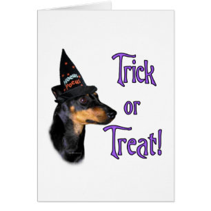 Trick de Manchester Terrier