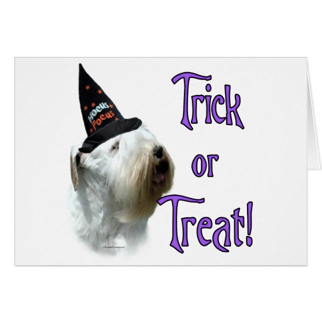 Trick de Sealyham Terrier (Devant horizontal)