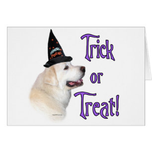 Trick des Pyrénées