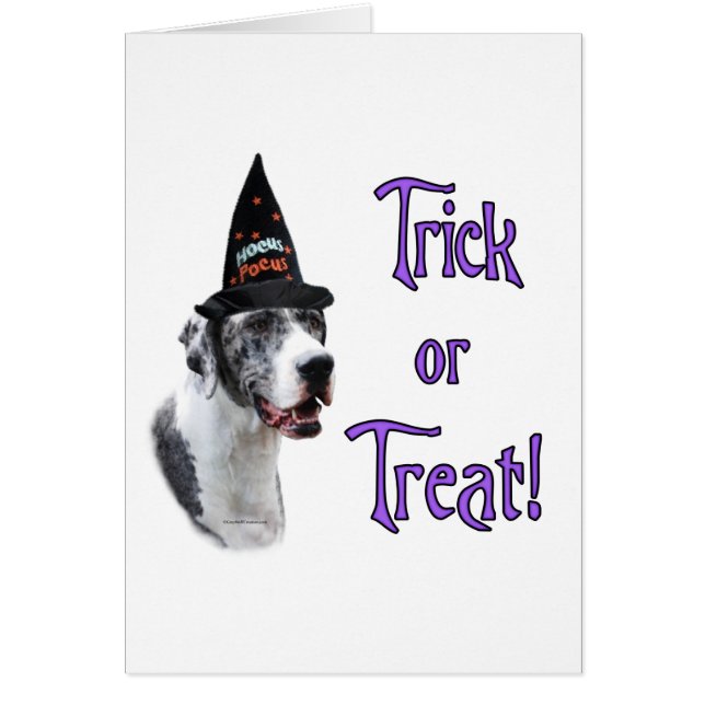 Trick Great Dane (merle) (Devant)