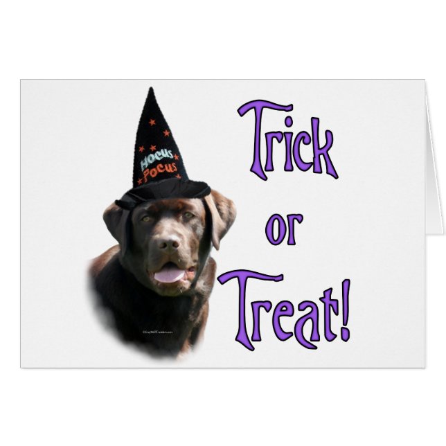 Trick Labrador Retriever (chocolat) (Devant horizontal)