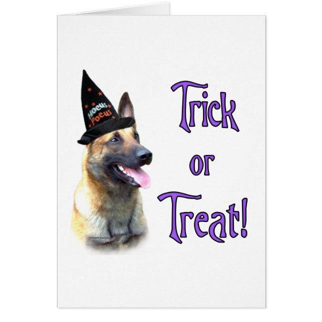 Trick Malinois (Devant)