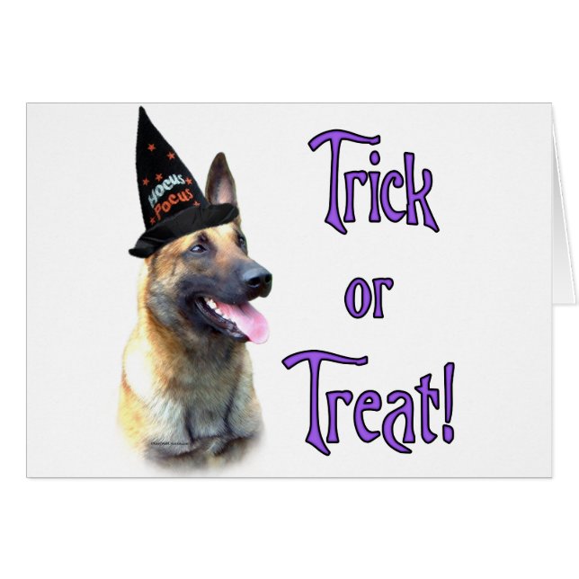 Trick Malinois (Devant horizontal)