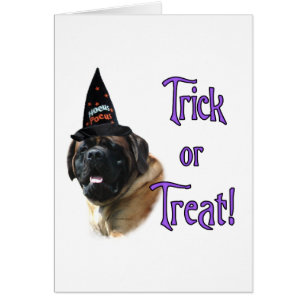 Trick Mastiff (abricot)