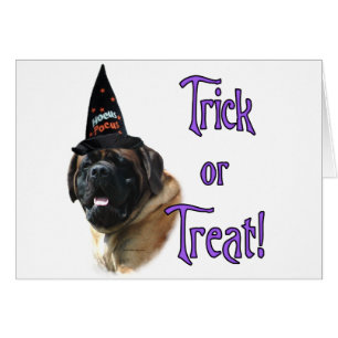 Trick Mastiff (abricot)