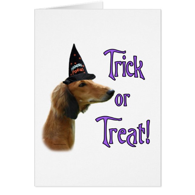 Trick Saluki (Devant)