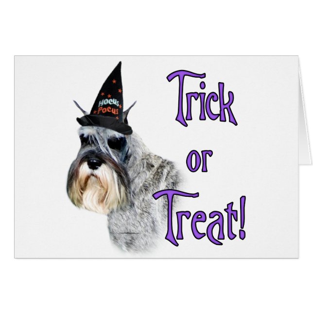 Trick Schnauzer (Devant horizontal)