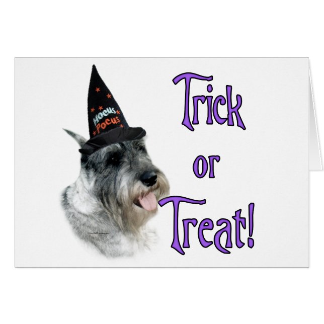 Trick Schnauzer Standard (Devant horizontal)