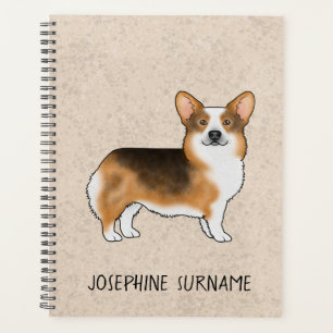 Tricolor Rouge Pembroke Welsh Corgi Et Nom