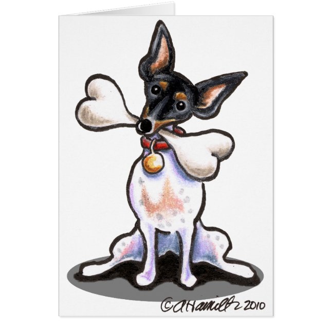 Tricolore Rat Terrier Big Bone (Devant)