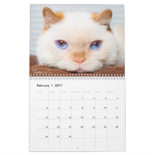 Trident 2017 le calendrier de chat