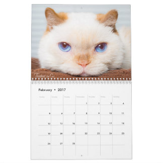 Trident 2017 le calendrier de chat