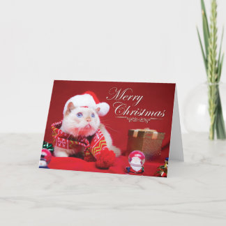 Trident la carte de Noël de chat