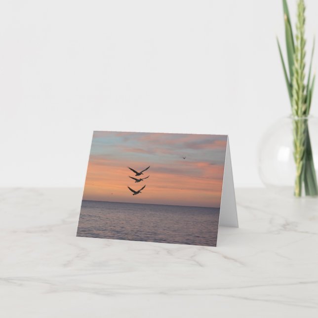 Trifecta volez sur Carte de remerciements pliée (Devant)