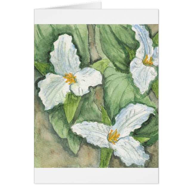 Trillium (Devant)