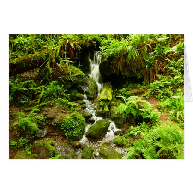 Trillium Falls à Redwood National Park (Devant horizontal)