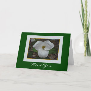 Trillium Merci