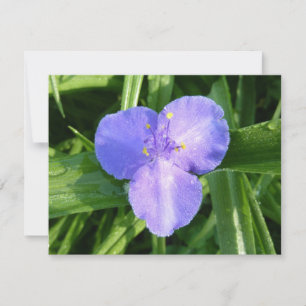Trillium printanier humide fleur sauvage