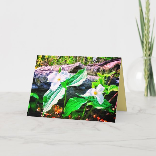 TRILLIUMS BRILLANT CARTE DE SALUT (Devant)