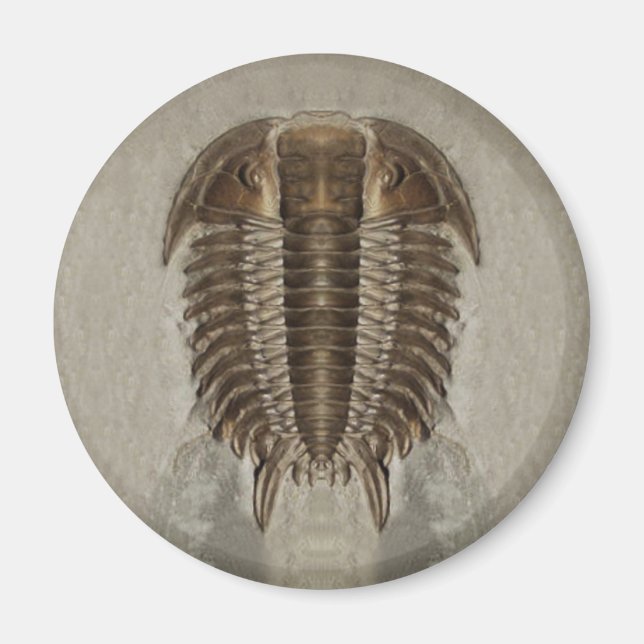 Trilobite Fossil Magnet (Devant)