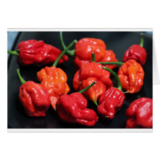 Trinidad Scorpion Hottest Chili