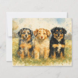 Trio aquarelle des bergers australiens en campagne