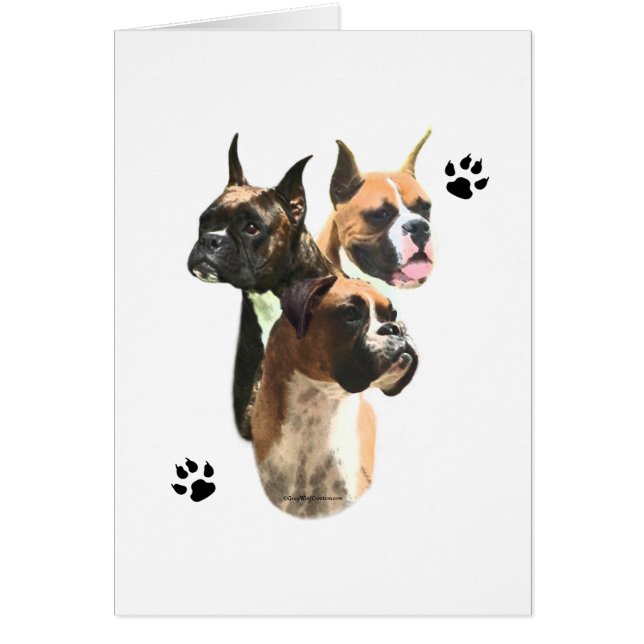 Trio Boxer (Devant)