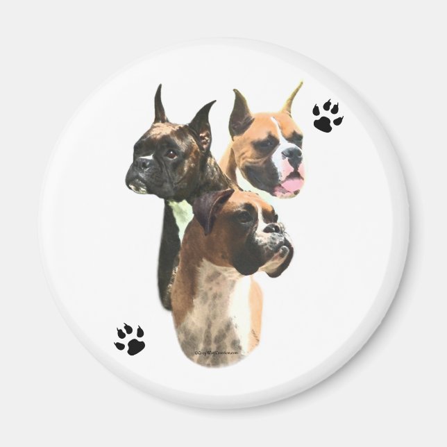 Trio Boxer - Magnet (Devant)