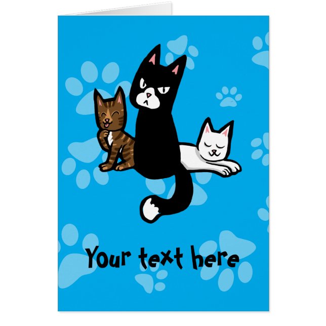 Trio de chat (Devant)