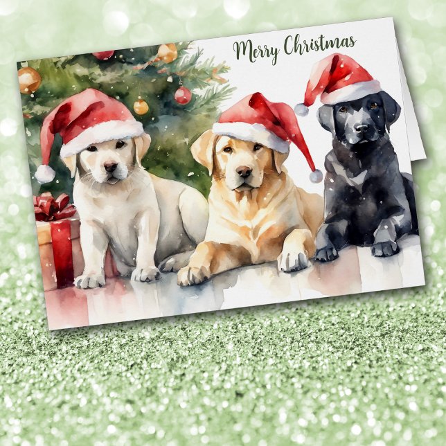 Trio de Labrador Retrievers au chapeau de Père Noë (Créateur téléchargé)