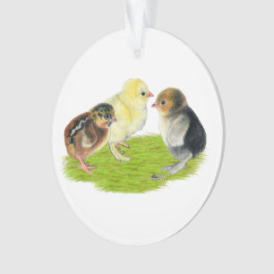 Trio de poussins