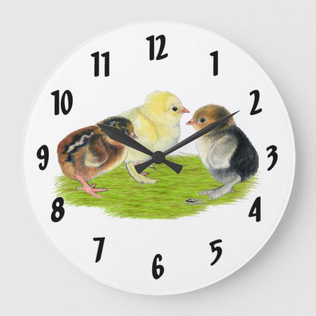 Trio de poussins bébé Grande Horloge (Recto)